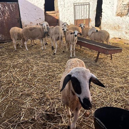 Khaima Oulad Abbou Exterior foto